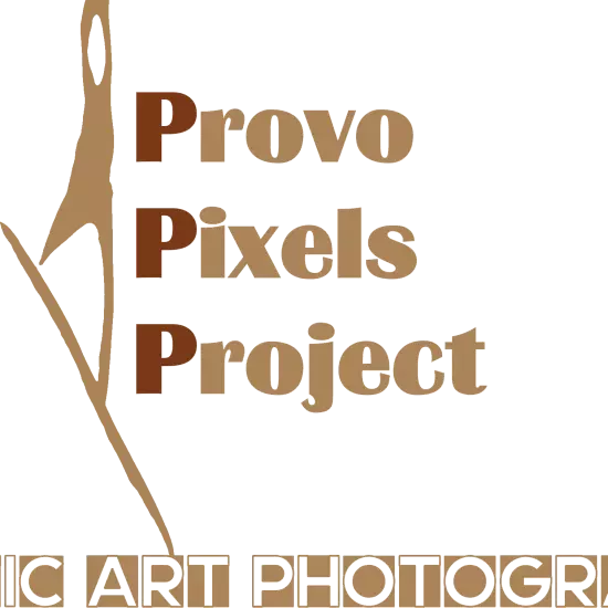 provopixelsproject avatar