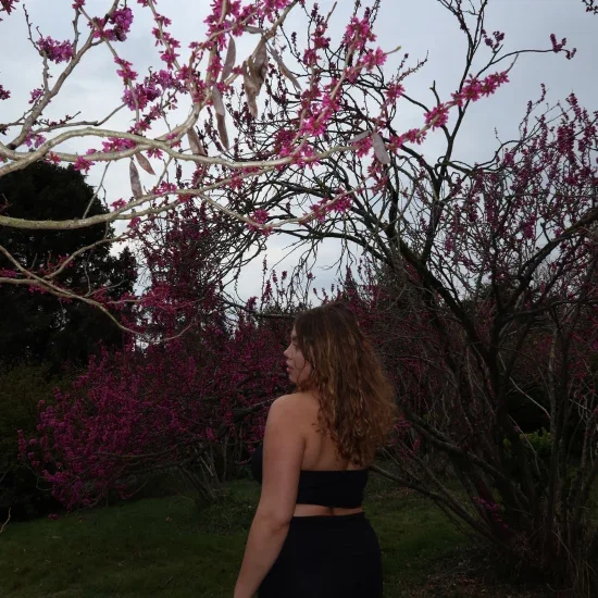 lilyyyy avatar