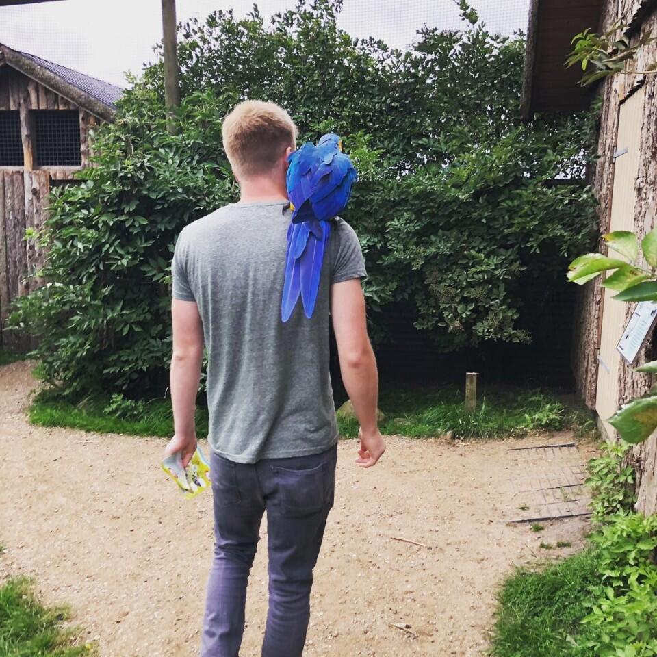 Cover photo of 00585584