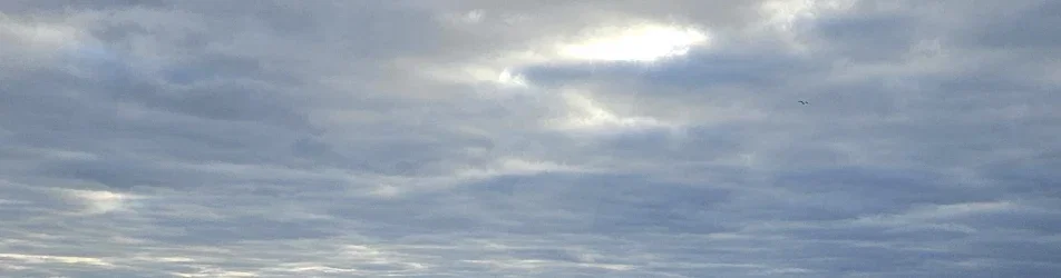 Cover photo of hotjay91