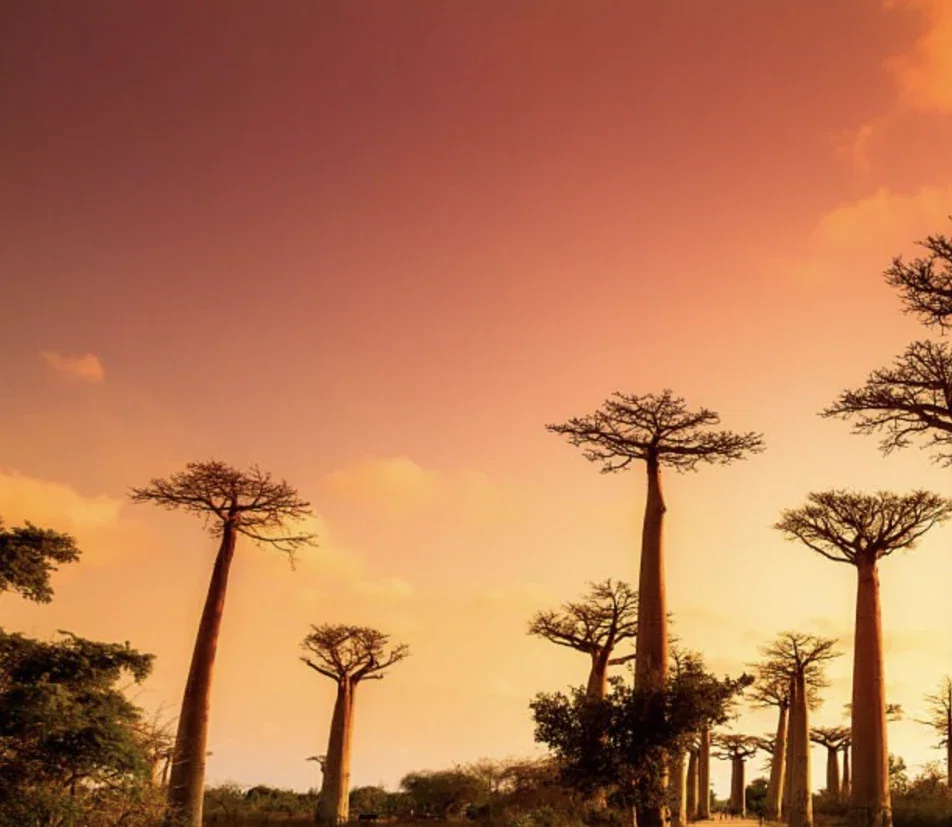 Cover photo of mia_et_moi