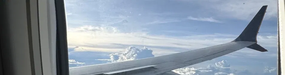 Cover photo of leones