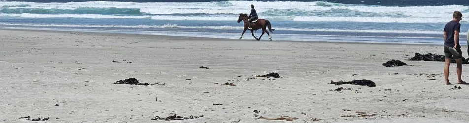 Cover photo of candylee