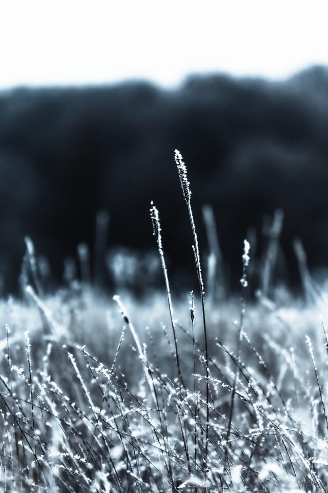 Cover photo of shotbygiu