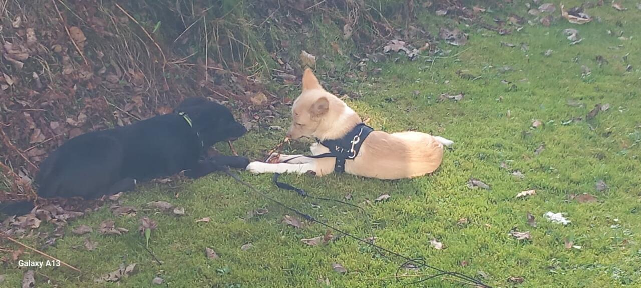 Cover photo of xxkev123