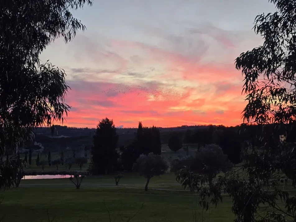 Cover photo of sensa