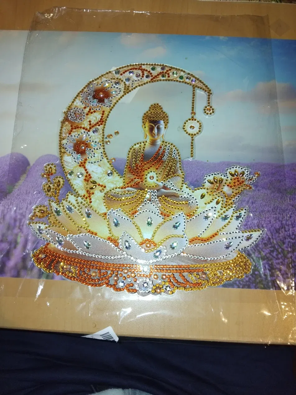 Cover photo of segerer