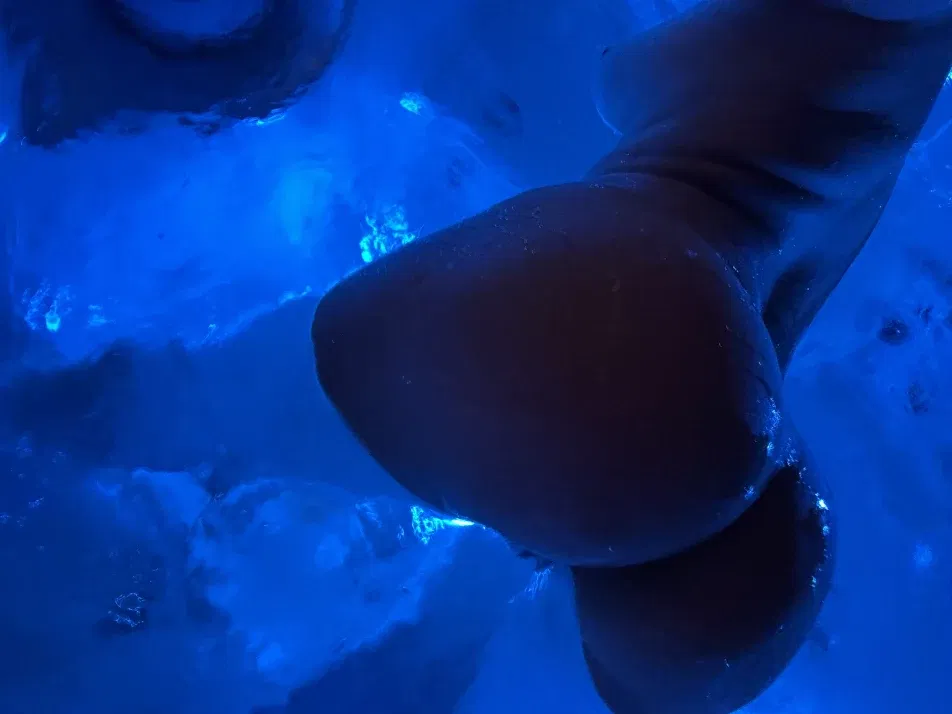 Cover photo of secretcrazy69