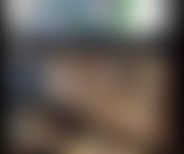 mybigpony cover