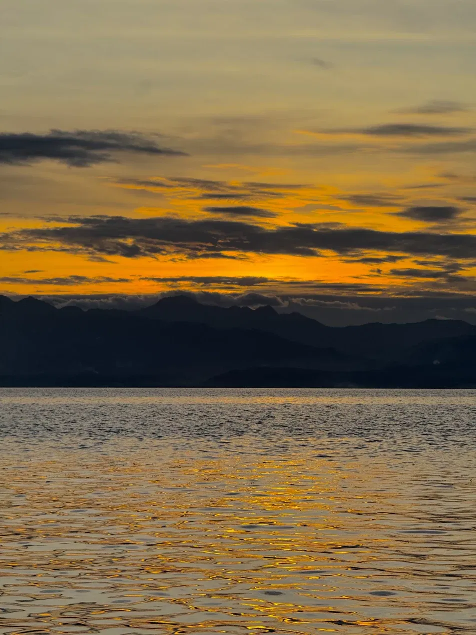 Cover photo of arriaxm