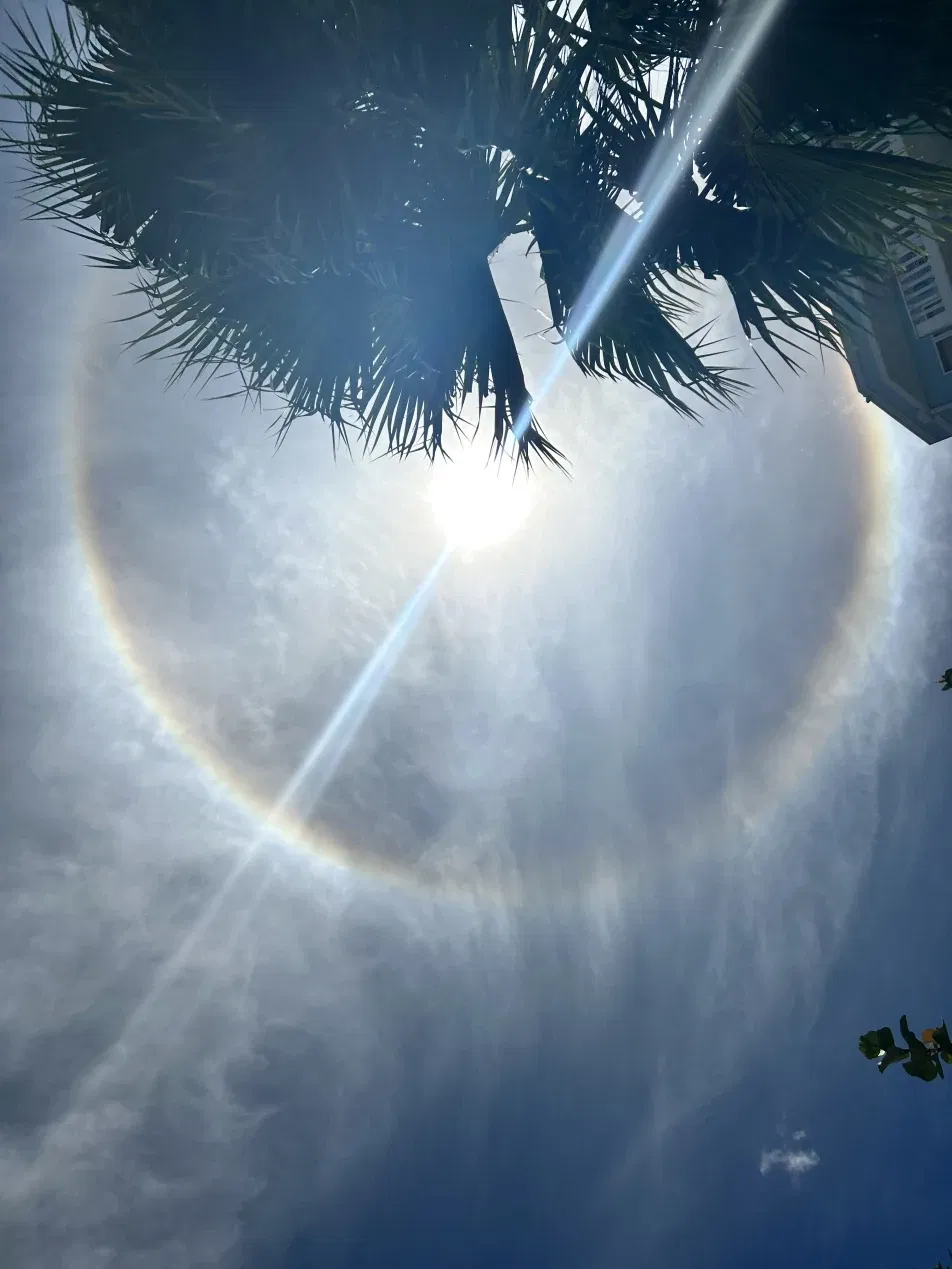 Cover photo of babem