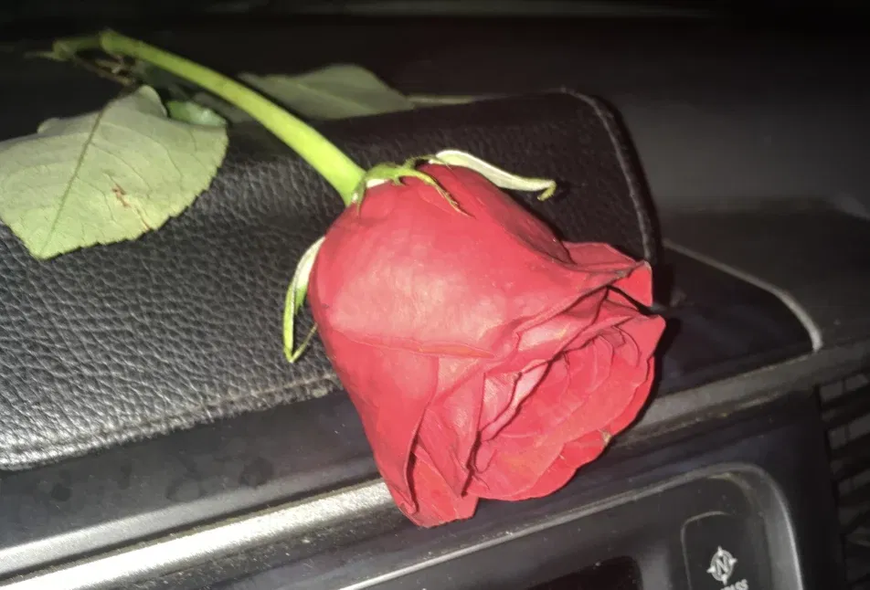 Cover photo of badbunny