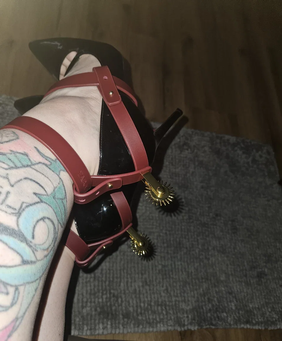 bbwqueen cover