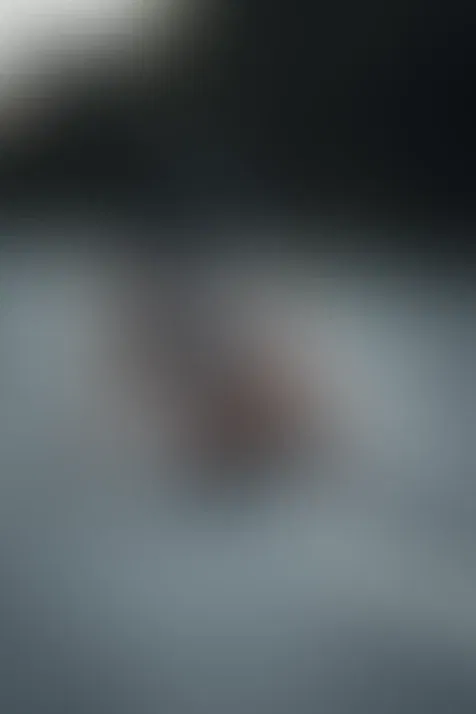 Cover photo of bellavictoria