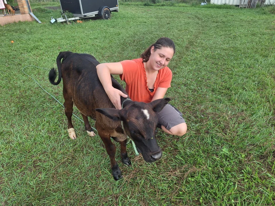 Cover photo of campomilf