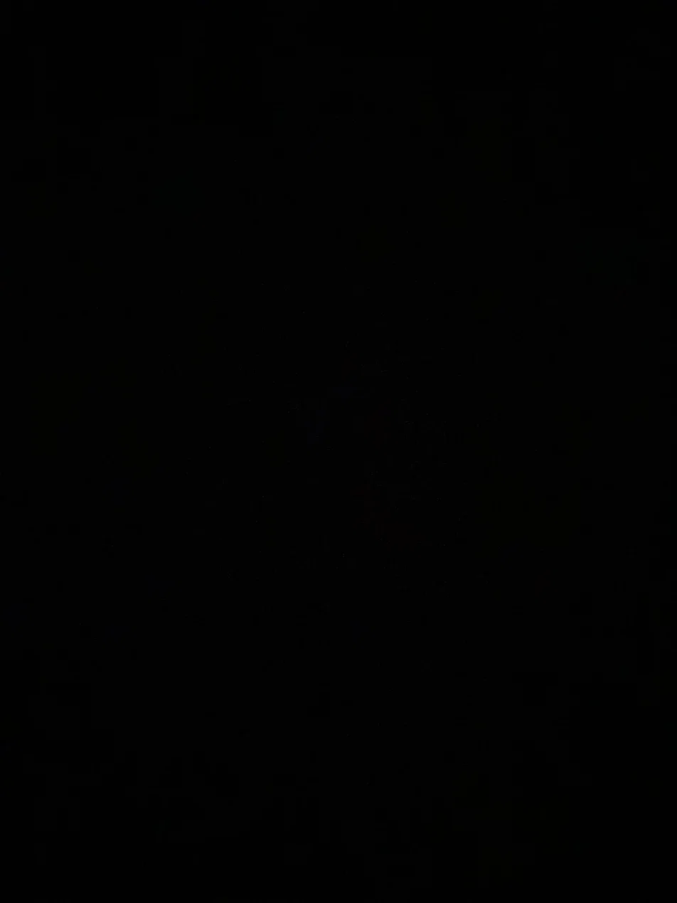 noimagesfound cover