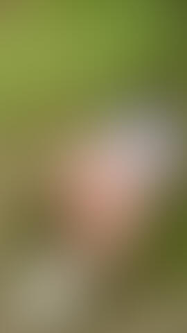 Cover photo of couple2220