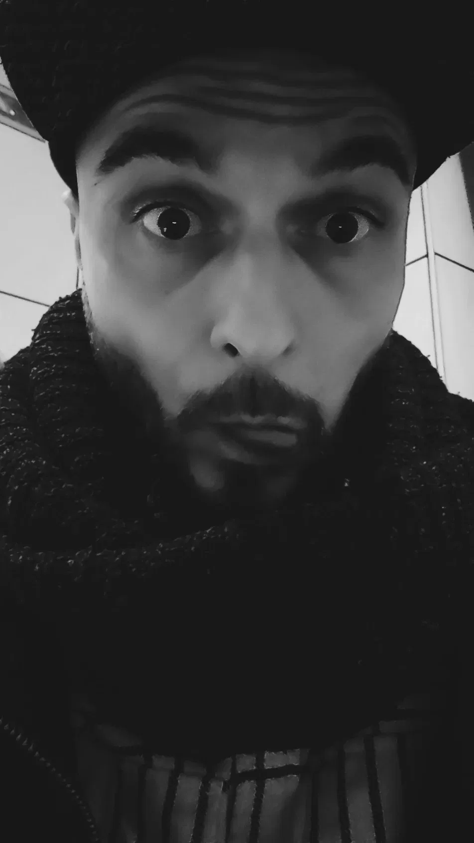 Cover photo of villa88