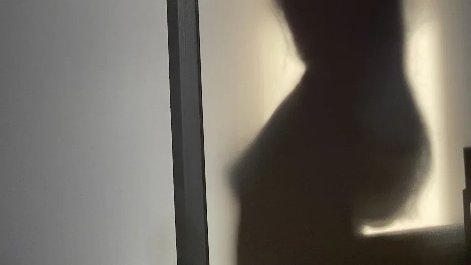 fionalye cover