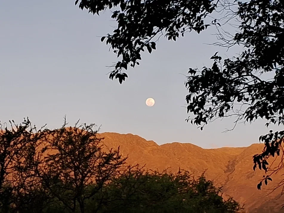 Cover photo of ilyma