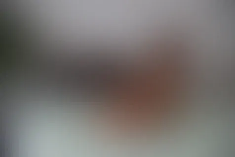 Cover photo of klamsine