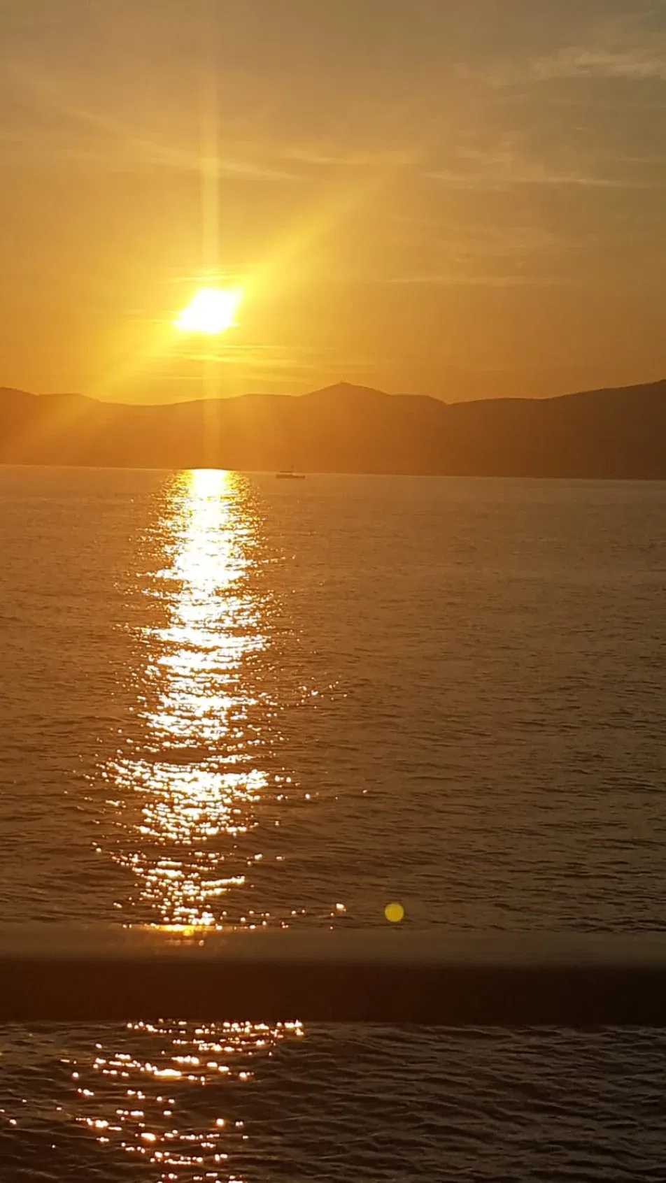 Cover photo of little-star