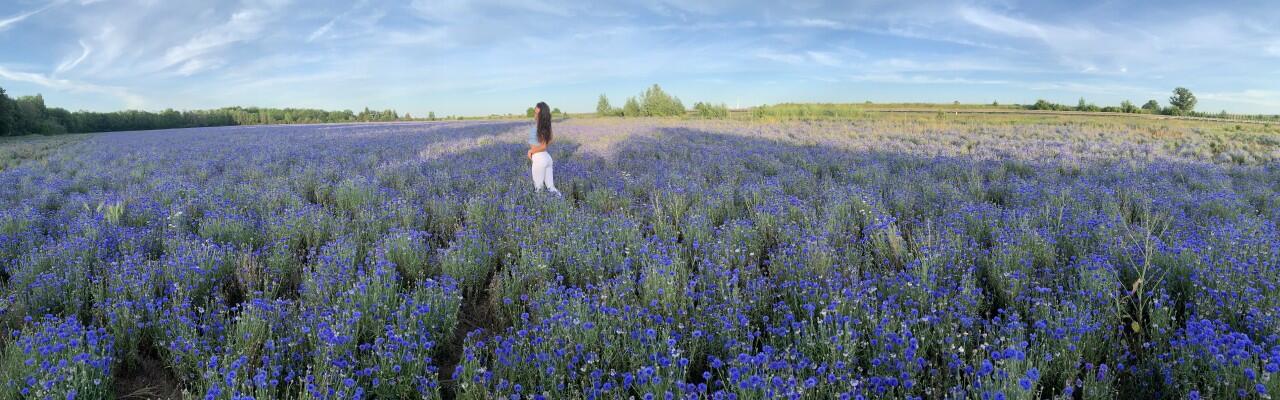 Cover photo of liyona2024