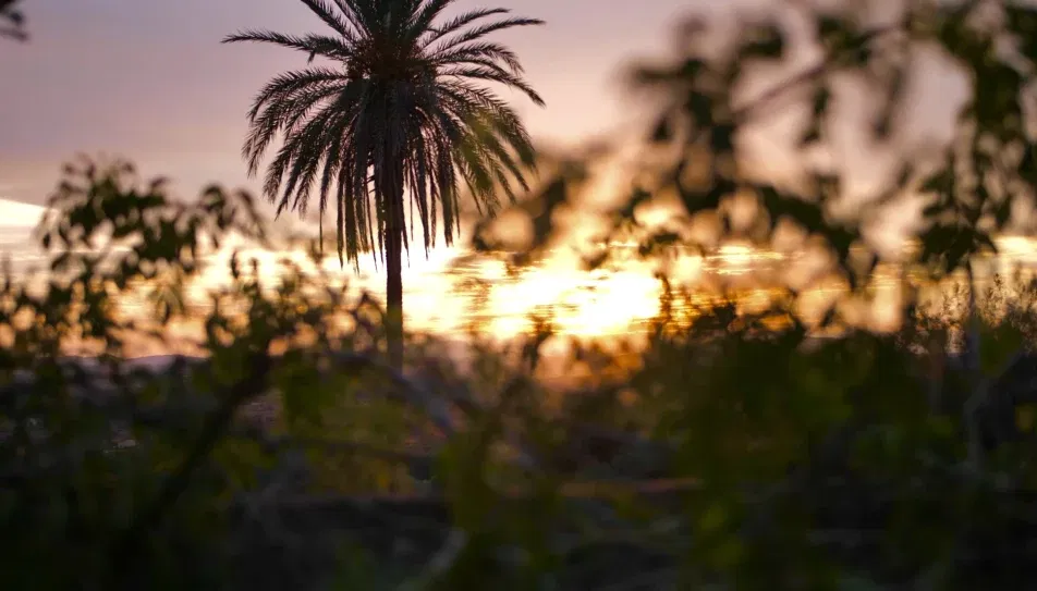 Cover photo of manumanuel