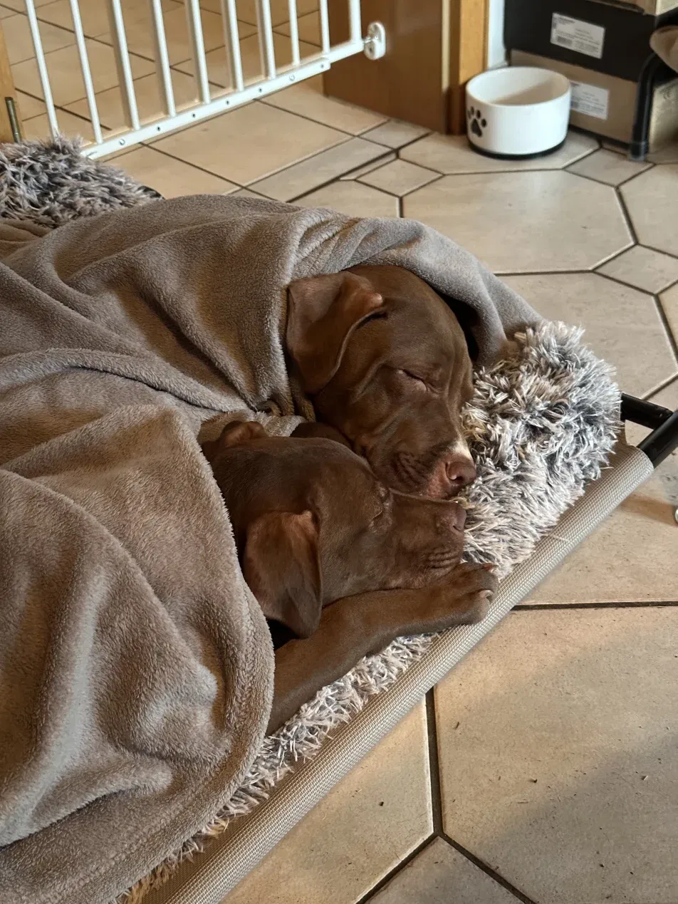 Cover photo of marypeach