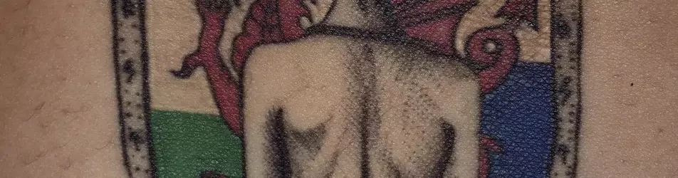 Cover photo of master_slave_trainer