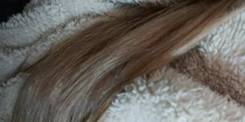 Cover photo of milla_co