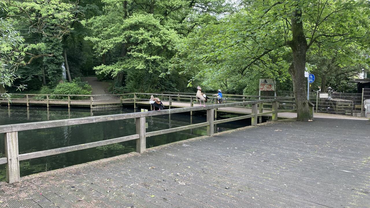 Cover photo of mrcum91