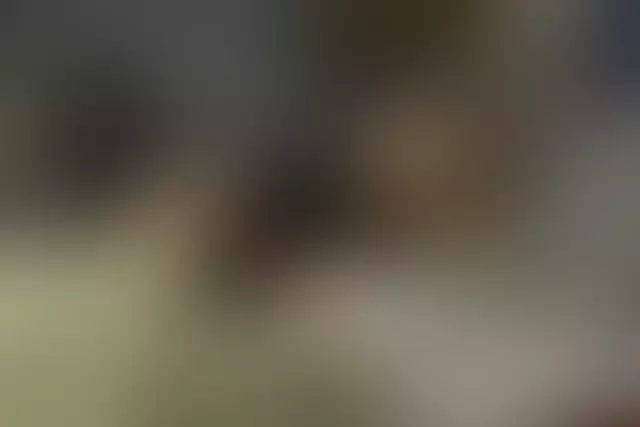 Cover photo of sandybigboobs