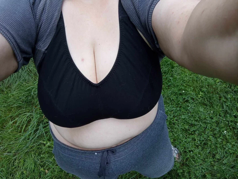 sheila cover