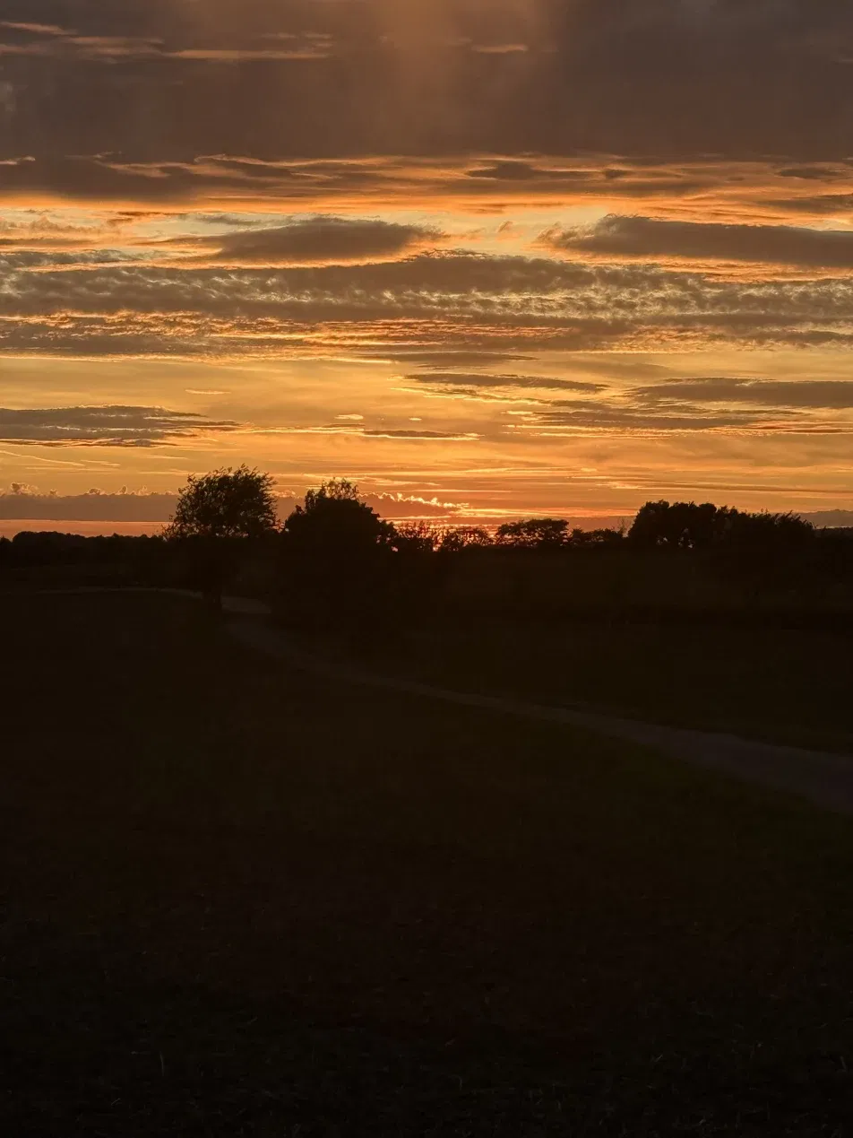 Cover photo of theblondie