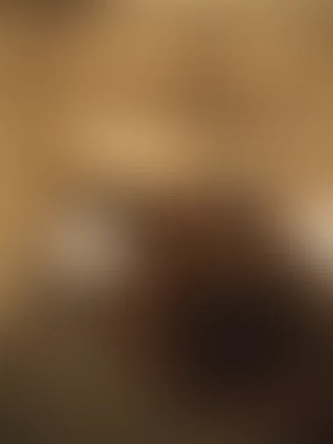wifenextdoorde cover