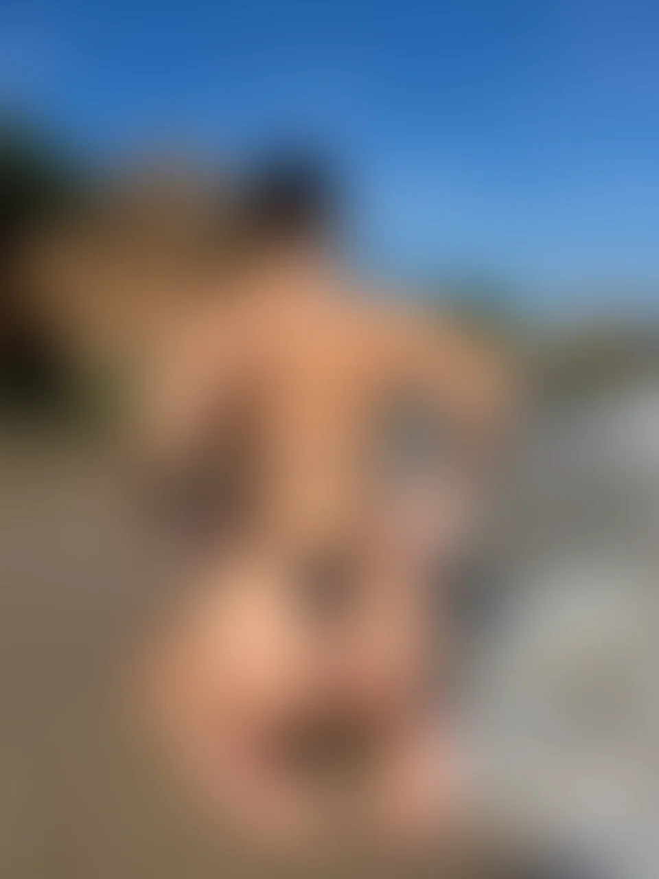 Hey 🥰 Ich wünsche dir eine tolle Woche ✨