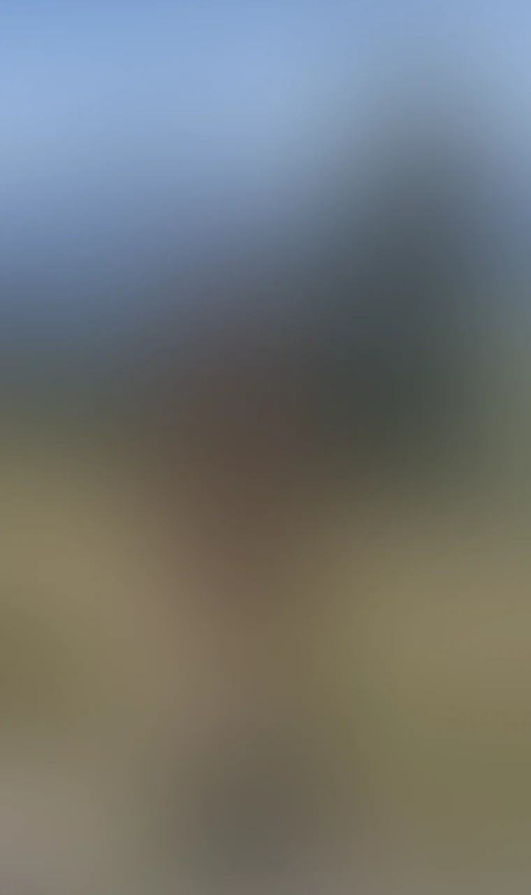Na, würdest du mitkommen? 🏔️

#outdoor #bigboobs #german #bikini #boobs