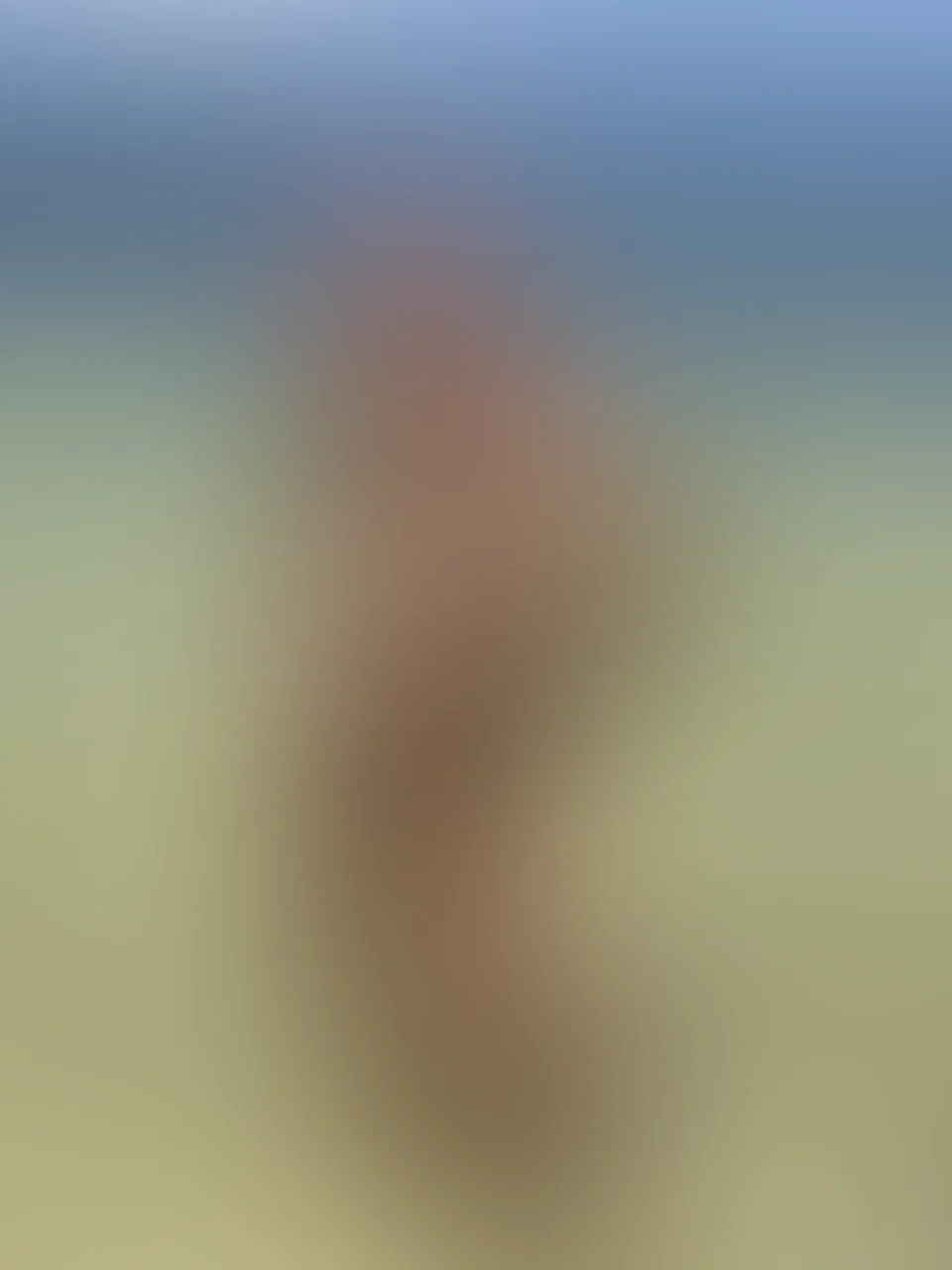 Can't believe these were the photos I took before I squirted all over the palm tree. 🌊👀🤭

Just message me to see what happened after these beach photos were taken. 💕