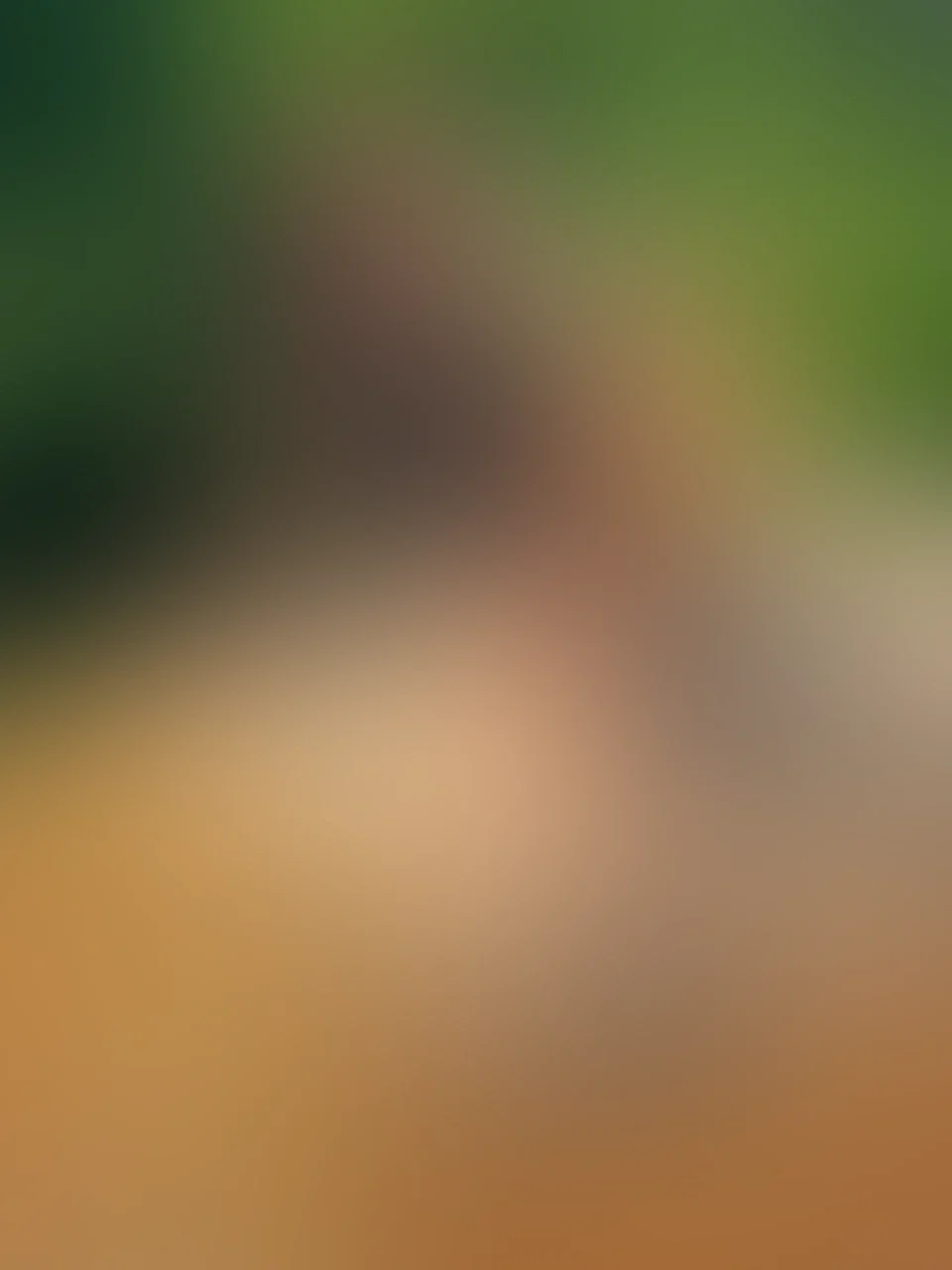 Nach diesem Bild kam das versauste Video... Ich werde es GENAU JETZT posten, verpasst es nicht! 😝😮‍💨🥵🥵🥵😈😈😈