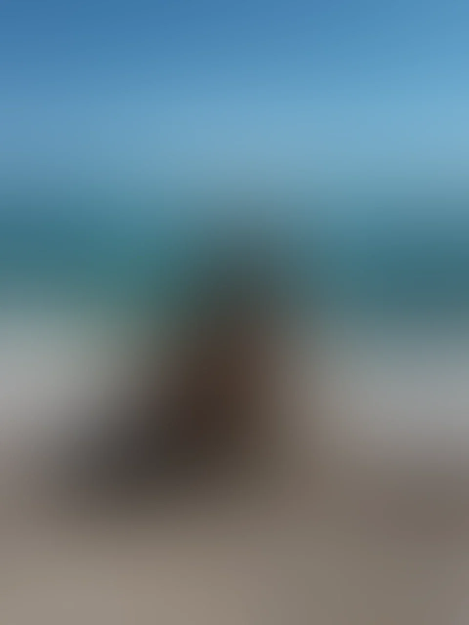 Ich warte auf dich, damit ich deine Hände auf meiner gebräunten, glatten Haut spüren kann 🥵

#amateur #ammeer #arsch #asstanlines #badteacher #beach #beautiful #bigtits #geilarsch #geilpussy #naked #pussy #slimfit #suntanned #wetpussy