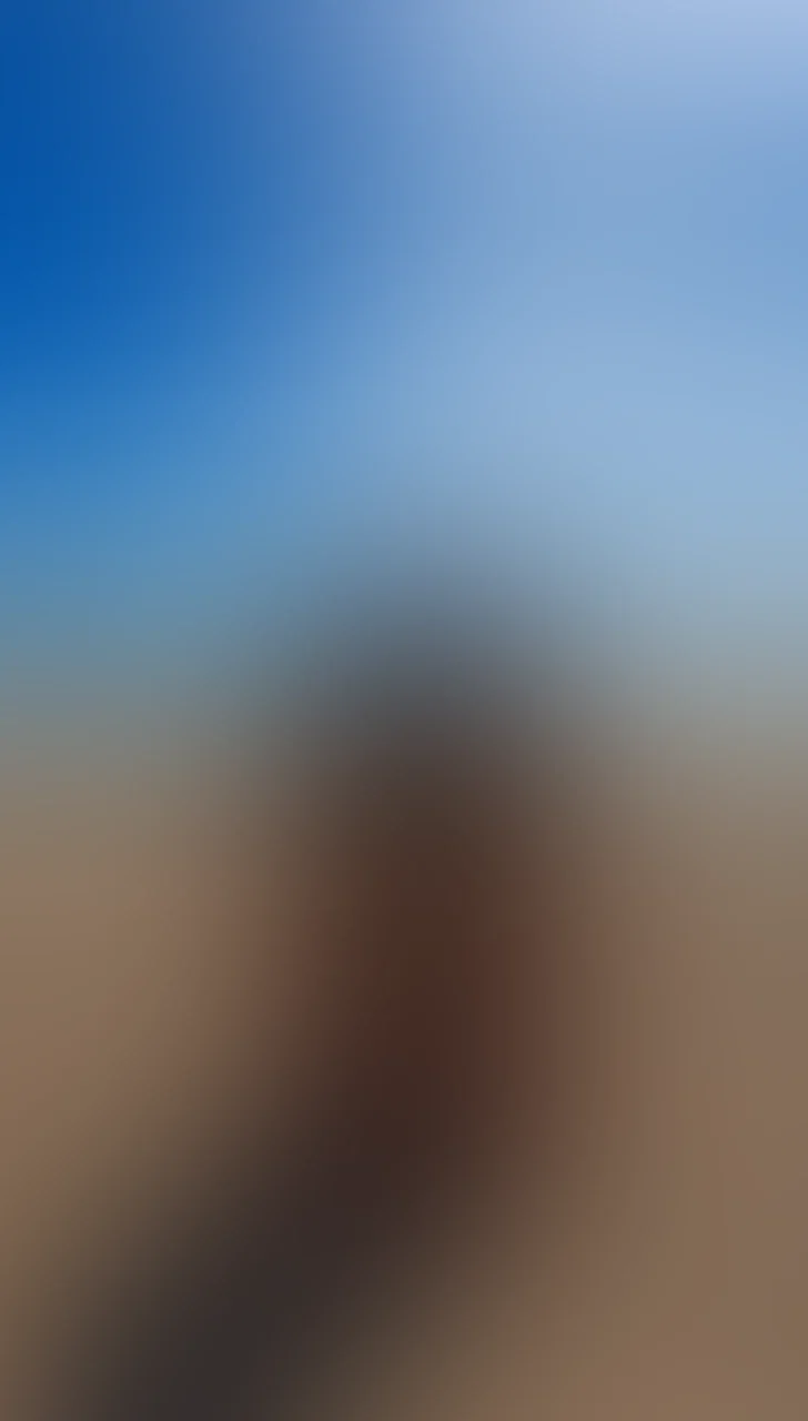 Wenn ich mir diese Pose so anschaue, wird mir klar, wie viele Dinge dabei passieren könnten 🤭 Facesitting, Reiten, Footjobs und noch viel mehr! Was stellst du dir dabei vor?

#amateur #backsideriding #badteacher #beach #bigass #facesitting #footjob #geilarsch #geilpussy #hotgirl #hotwoman #pinkpussyfuck #strand #suntanned #wetpussy