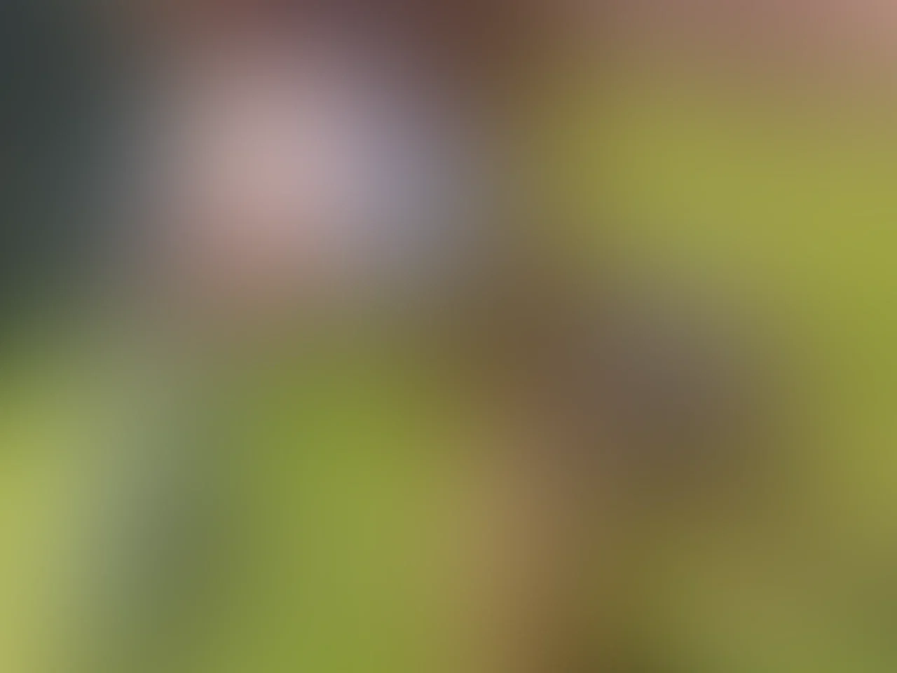 Ich wünsche dir einen heißen Tag ♥️♥️♥️♥️